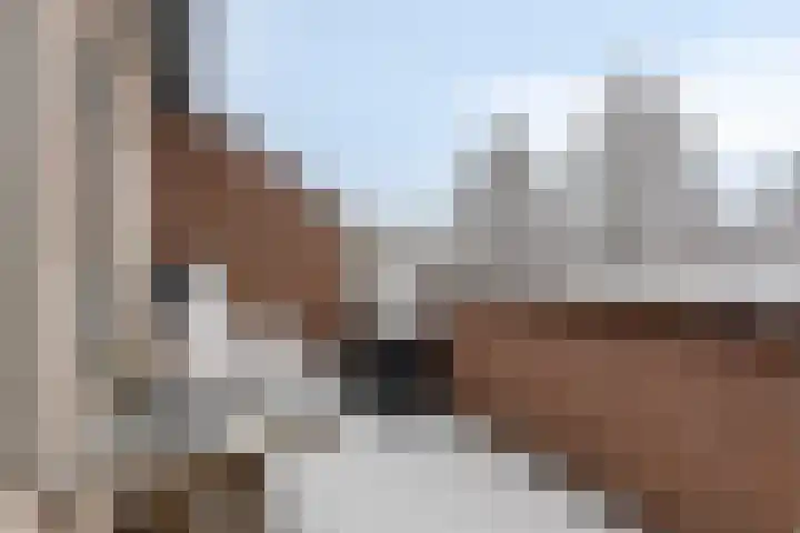 Avenbeeck 57 Hillegom thumbnail 31