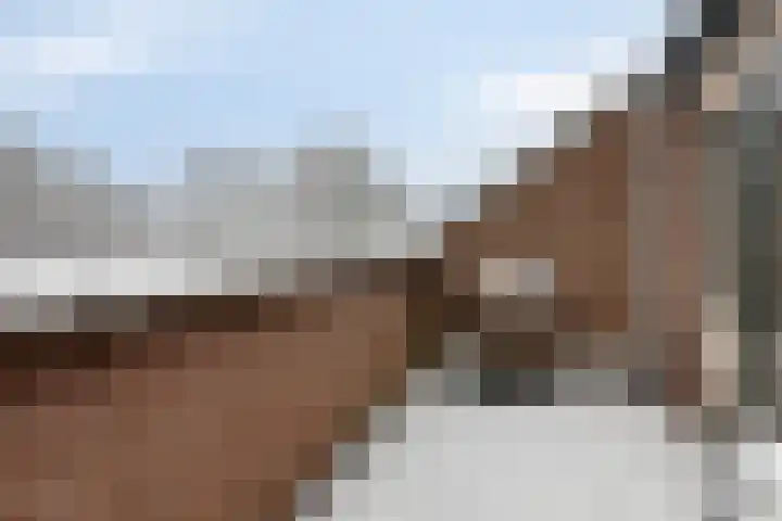 Avenbeeck 57 Hillegom thumbnail 32