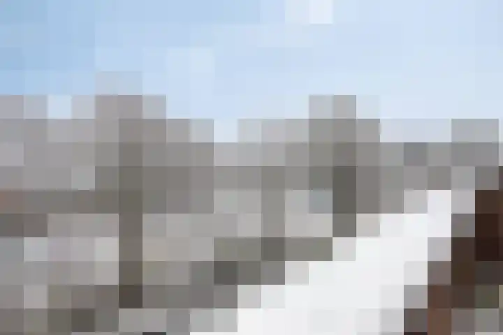 Avenbeeck 57 Hillegom thumbnail 33