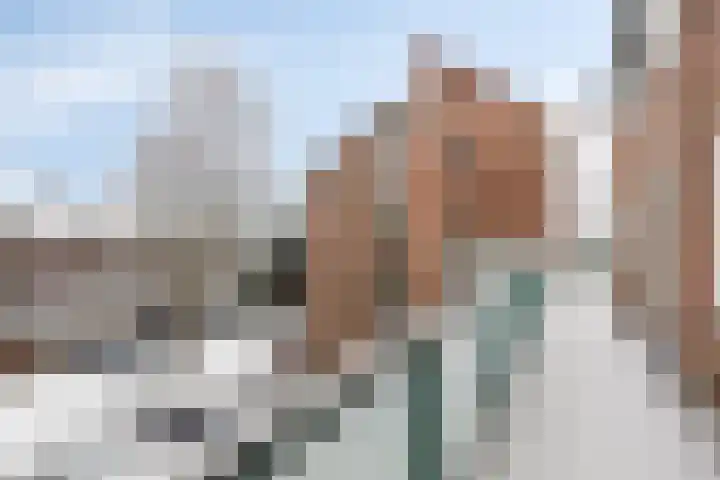 Avenbeeck 57 Hillegom thumbnail 34