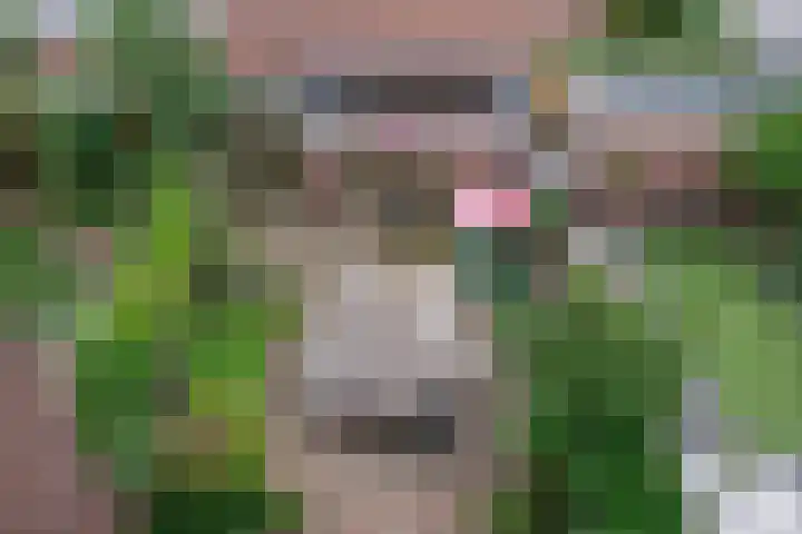 Avenbeeck 6 Hillegom thumbnail 15