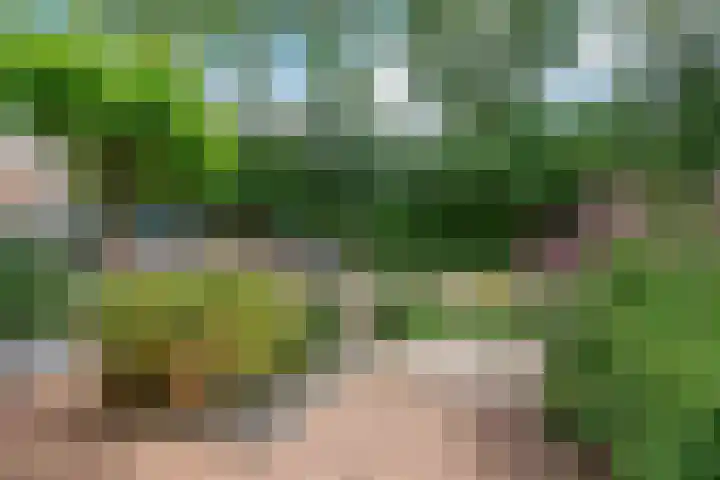 Avenbeeck 6 Hillegom thumbnail 32