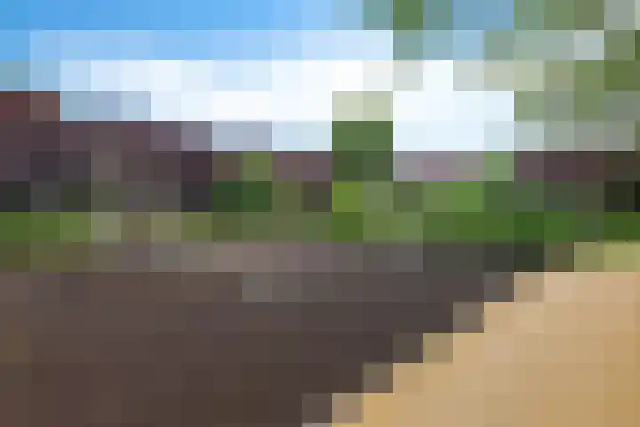 Avenbeeck 6 Hillegom thumbnail 34