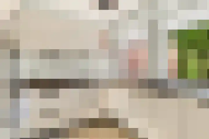 Avenbeeck 91 Hillegom thumbnail 11