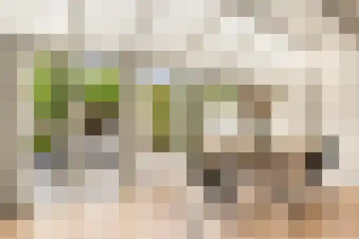 Avenbeeck 91 Hillegom thumbnail 20