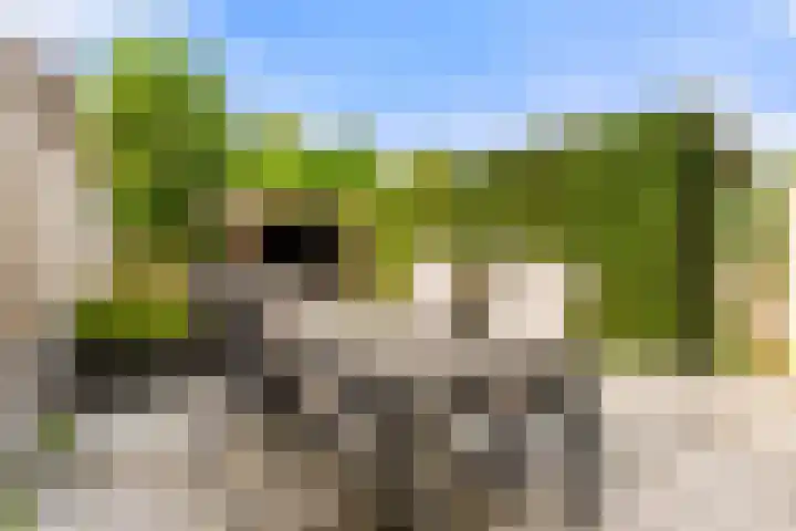 Avenbeeck 91 Hillegom thumbnail 21