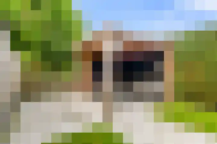 Avenbeeck 91 Hillegom thumbnail 25