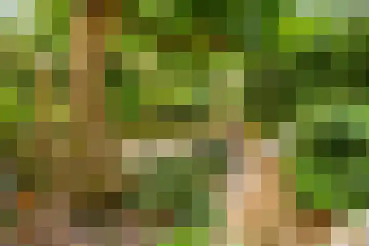Avenbeeck 91 Hillegom thumbnail 28