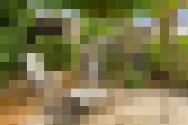 Avenbeeck 91 Hillegom thumbnail 31