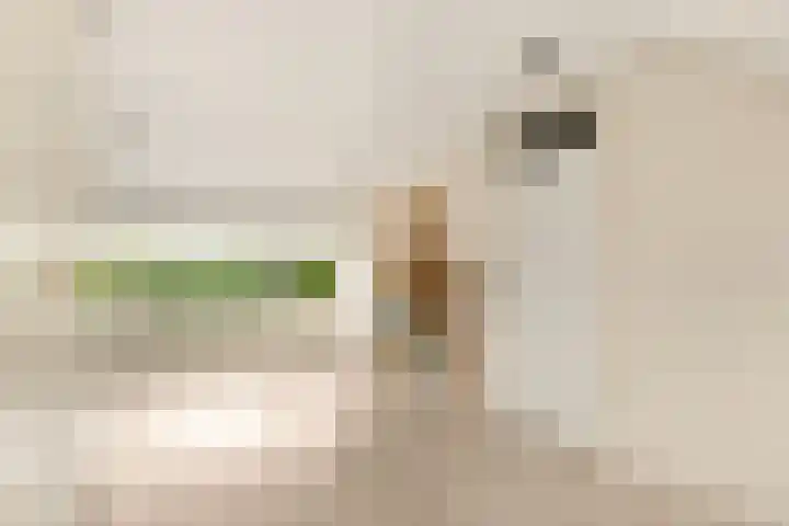Avenbeeck 91 Hillegom thumbnail 43