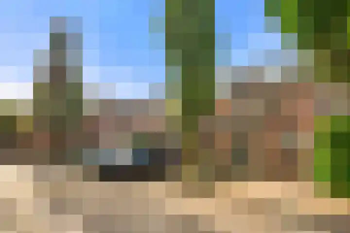 Avenbeeck 91 Hillegom thumbnail 47