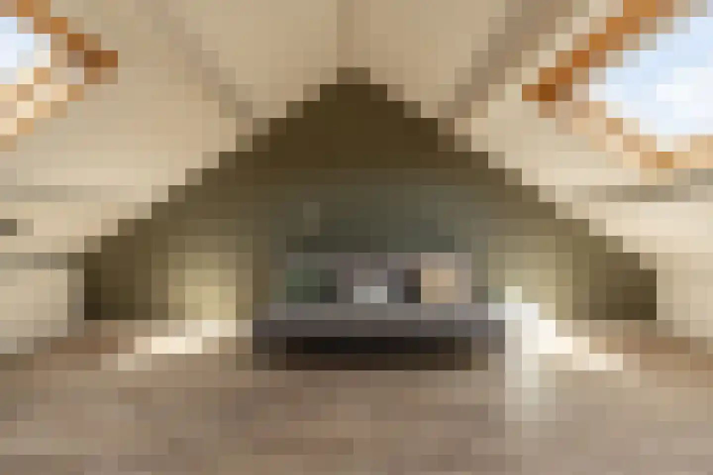 Avenhil 23 Heinenoord thumbnail 28