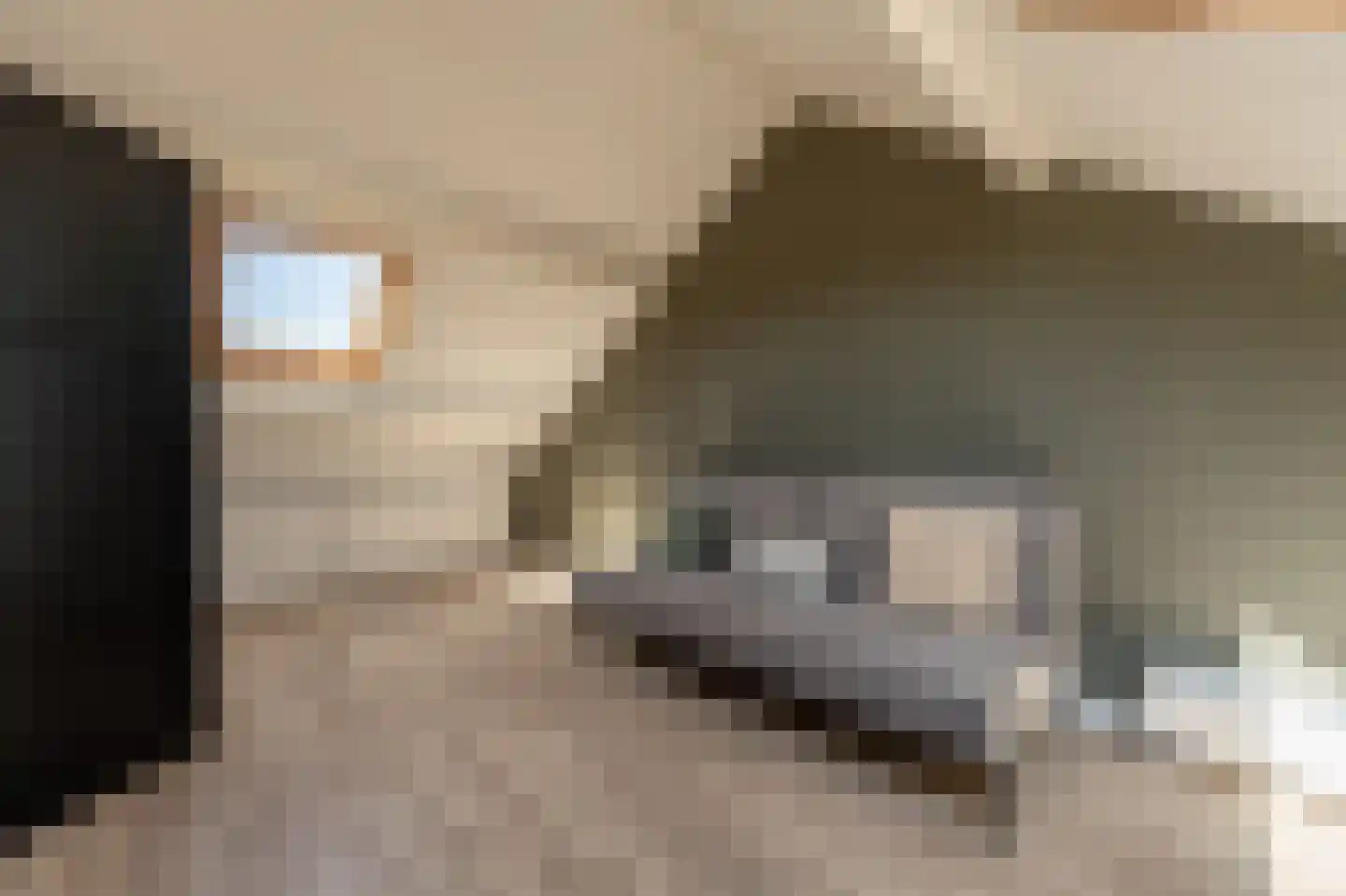 Avenhil 23 Heinenoord thumbnail 29
