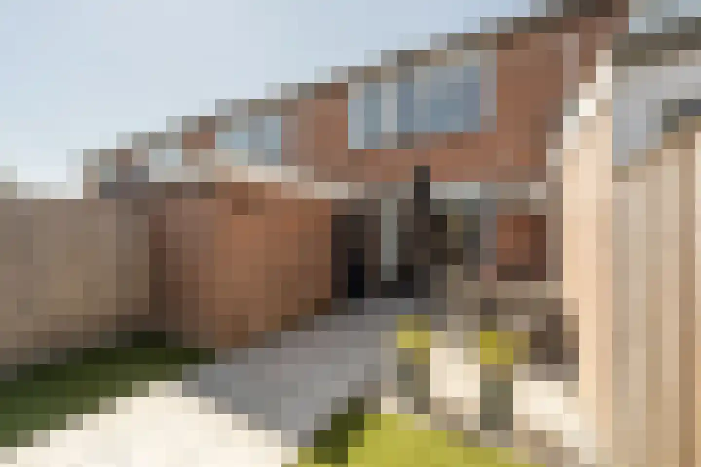 Avenhil 23 Heinenoord thumbnail 33