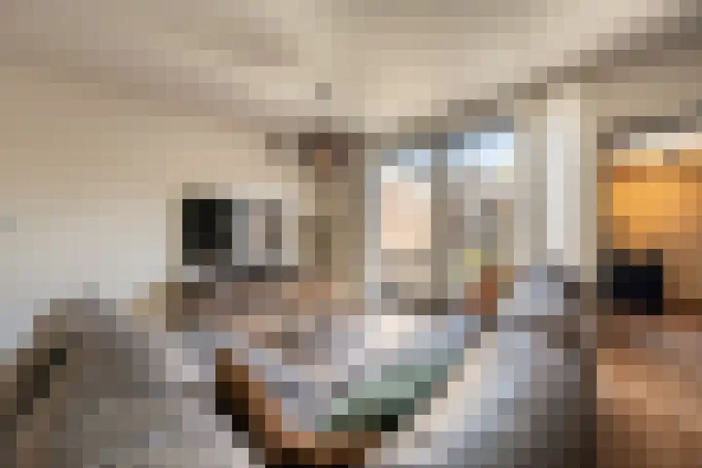 Avenhil 23 Heinenoord thumbnail 6