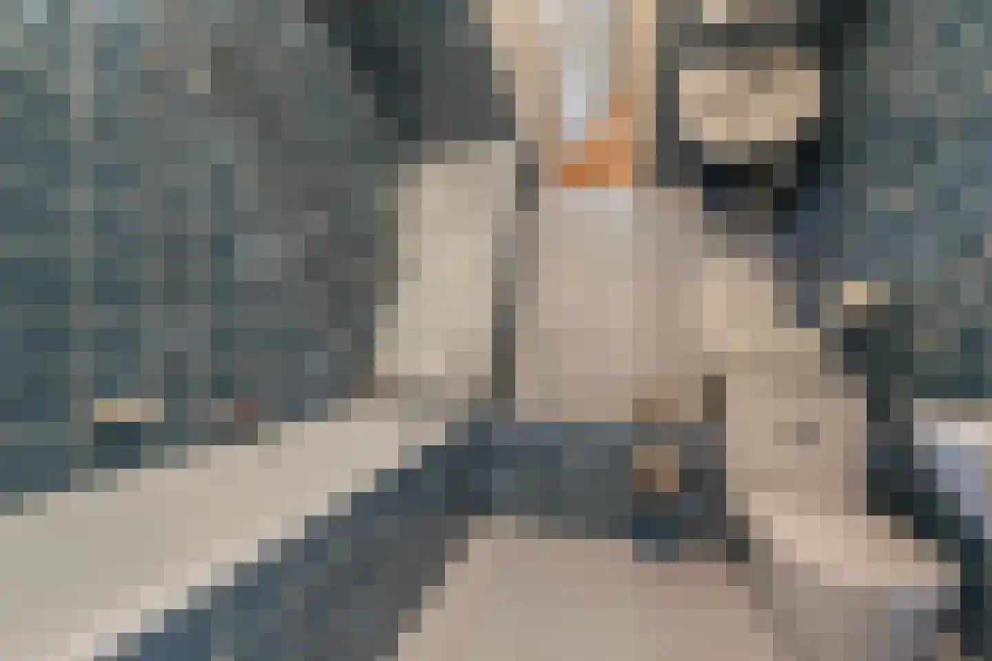 Avenhil 33 Heinenoord thumbnail 18