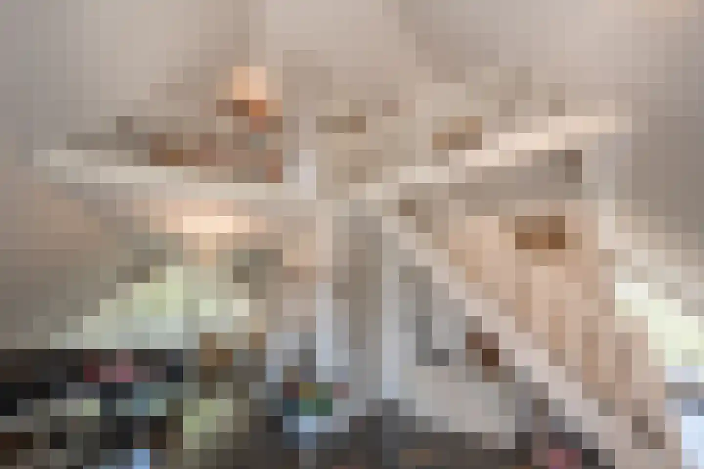 Avenhil 33 Heinenoord thumbnail 21