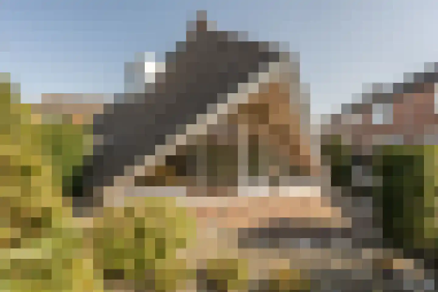 Avenhil 33 Heinenoord thumbnail 24