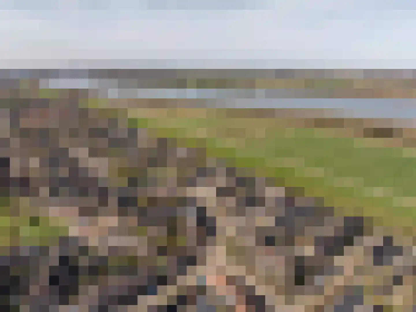 Avenhil 33 Heinenoord thumbnail 28