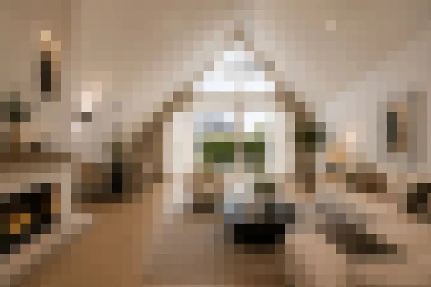 Avenhil 33 Heinenoord thumbnail 5