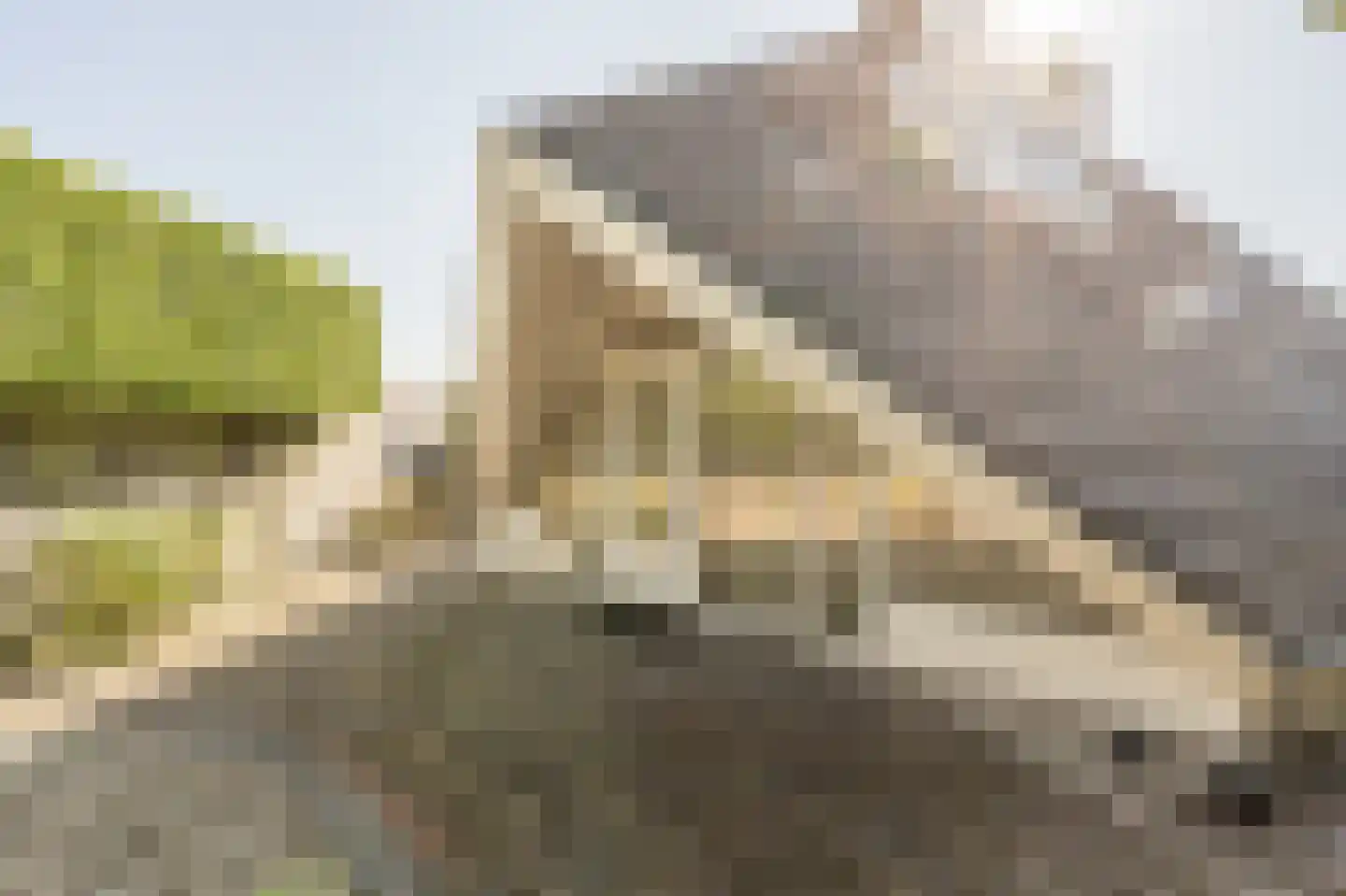 Avenhil 33 Heinenoord thumbnail 7