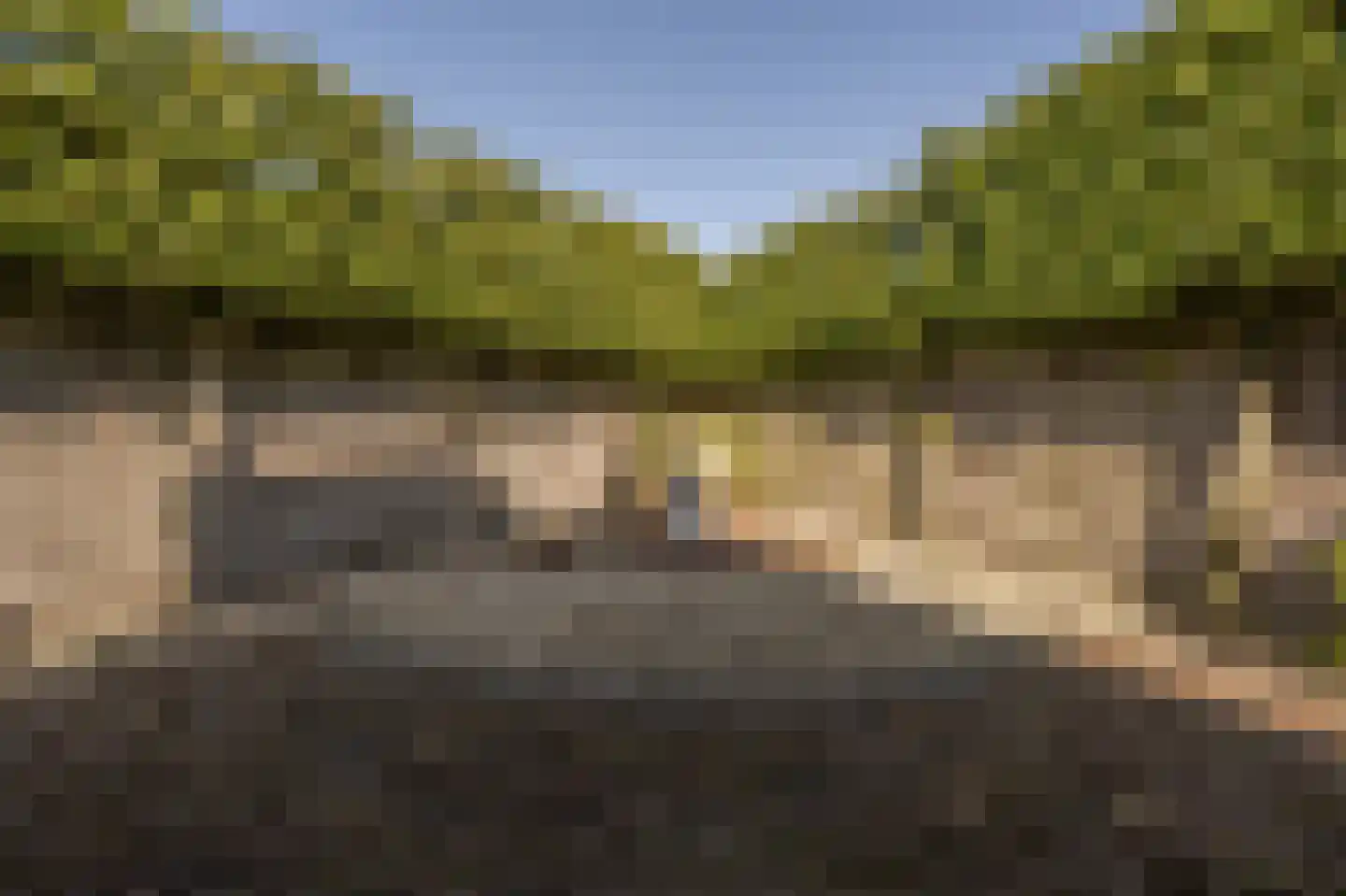Avenhil 33 Heinenoord thumbnail 8