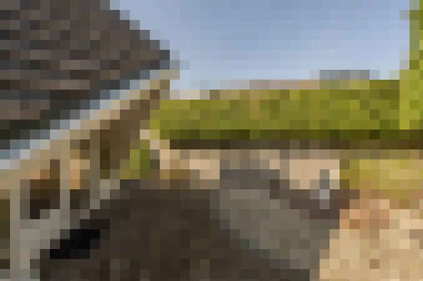 Avenhil 33 Heinenoord thumbnail 9