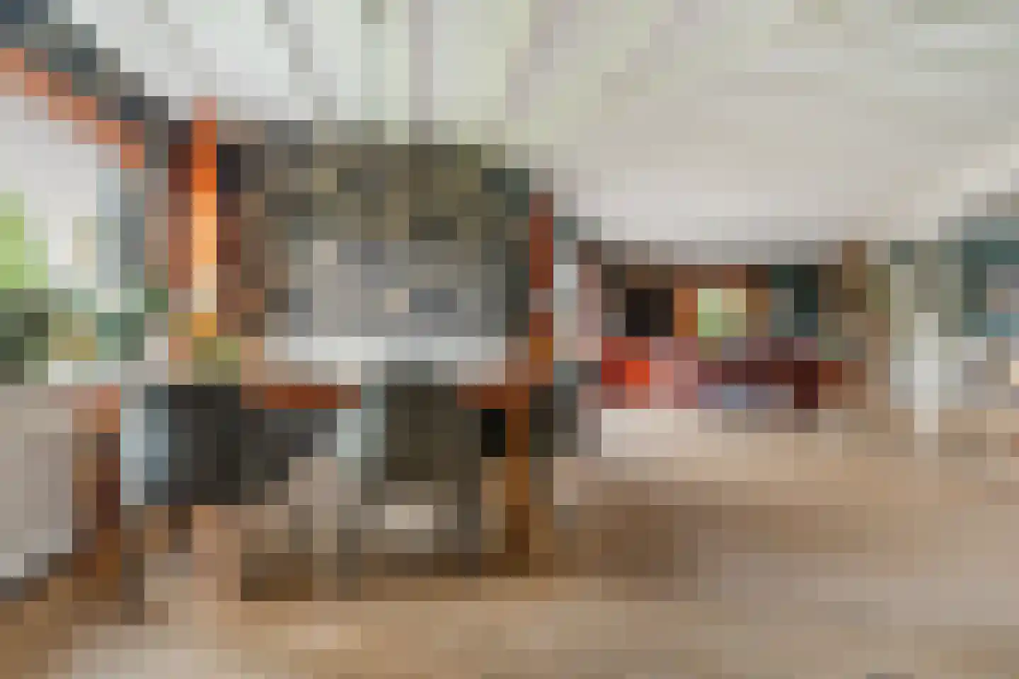 Avenhil 6 Heinenoord thumbnail 10
