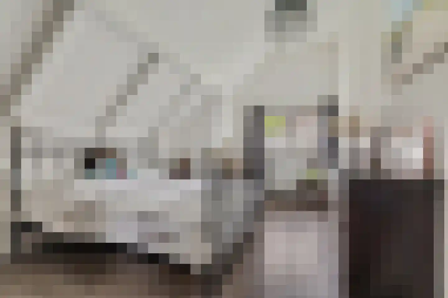 Avenhil 6 Heinenoord thumbnail 17