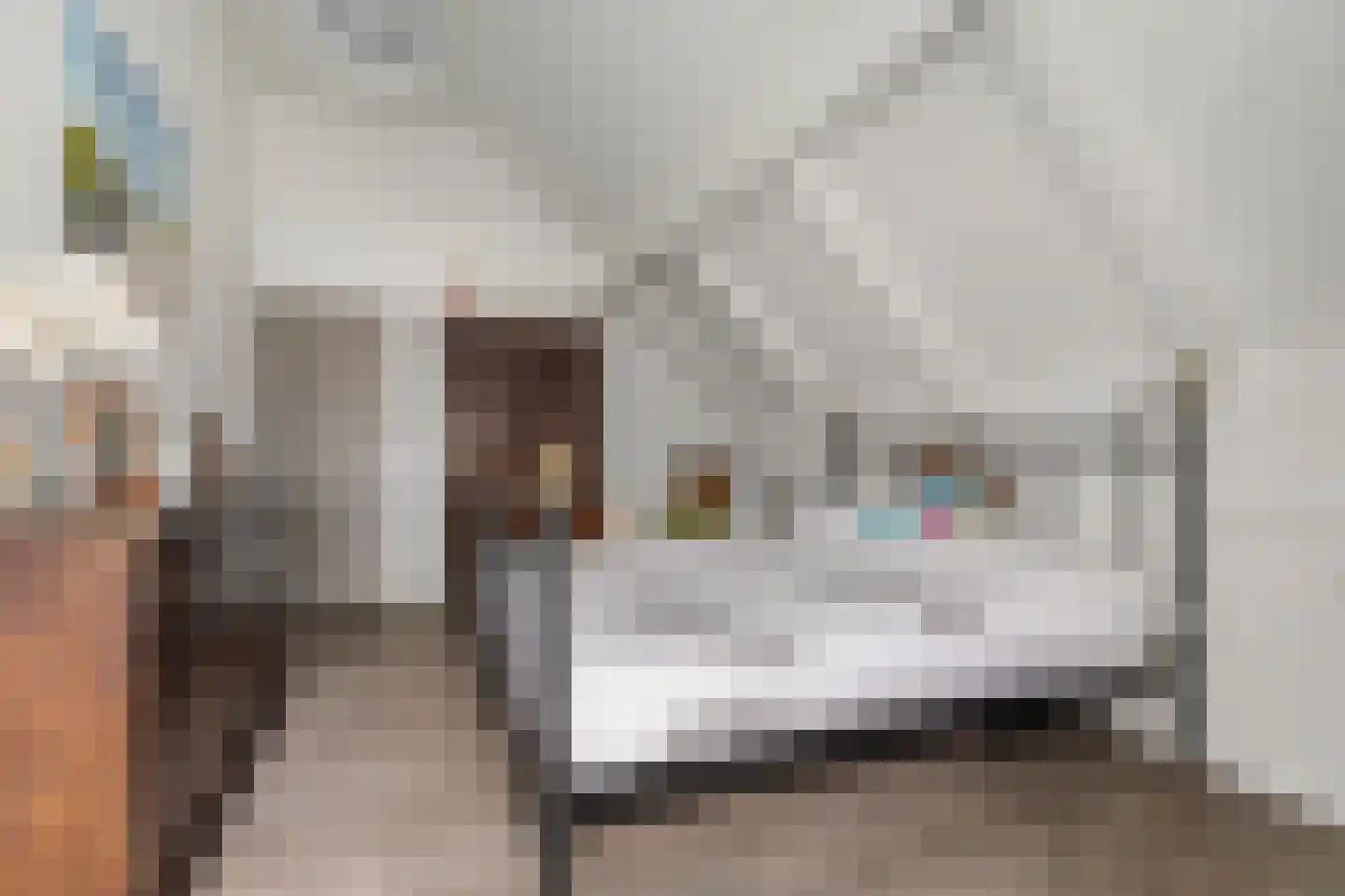Avenhil 6 Heinenoord thumbnail 18