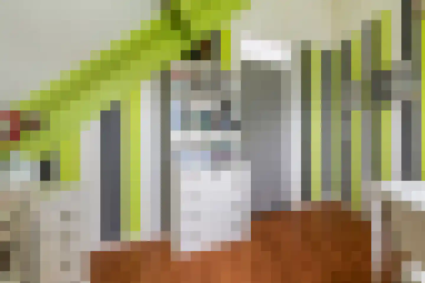 Avenhil 6 Heinenoord thumbnail 20