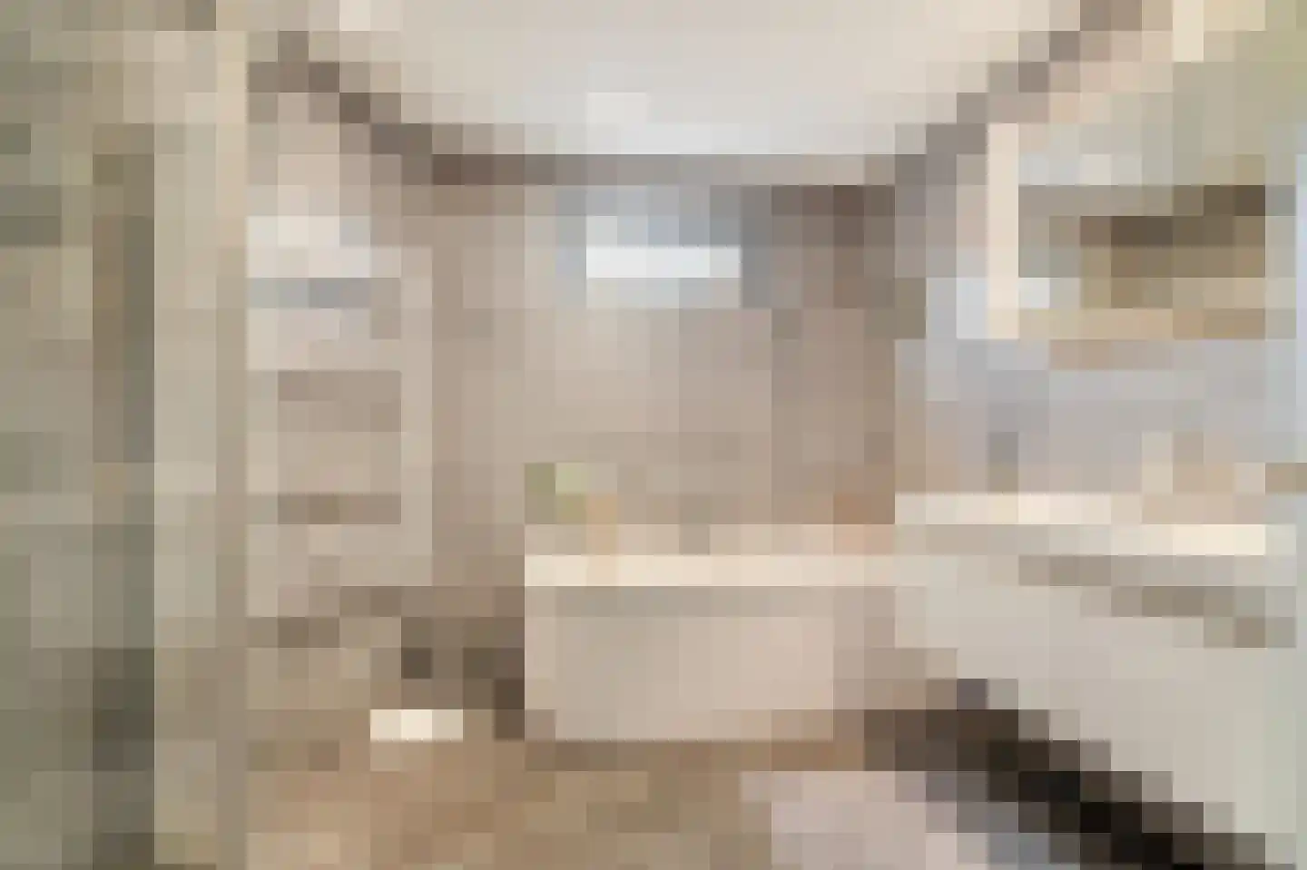 Avenhil 6 Heinenoord thumbnail 25