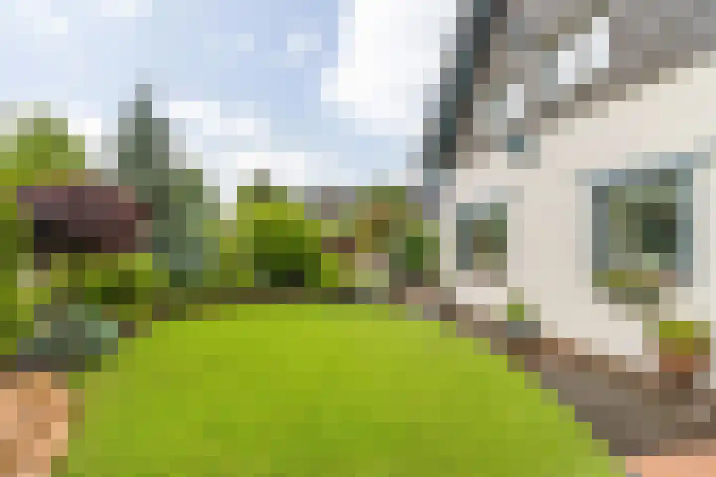 Avenhil 6 Heinenoord thumbnail 27