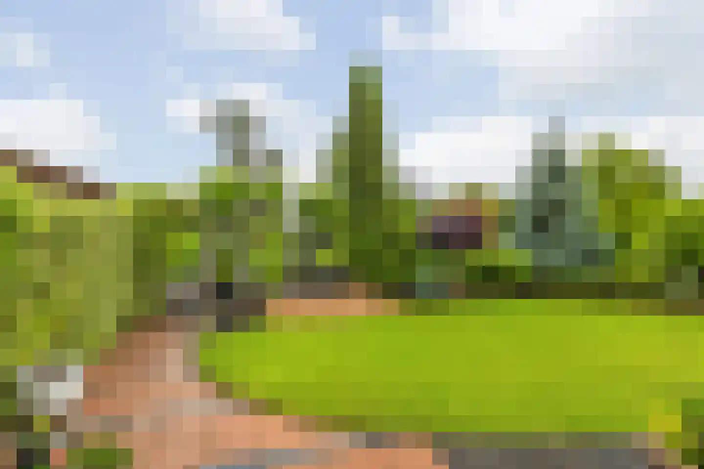 Avenhil 6 Heinenoord thumbnail 29