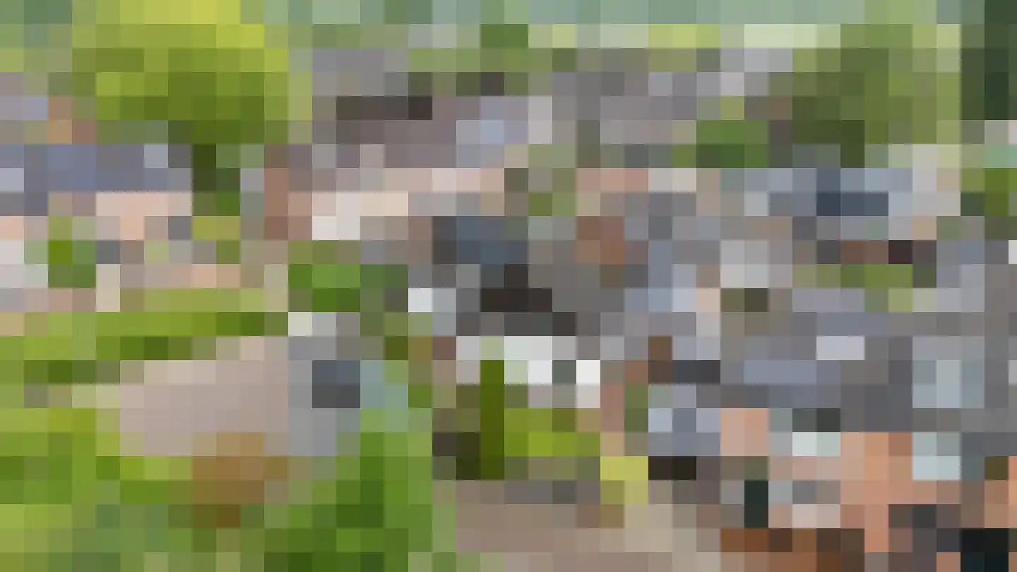 Avenhil 6 Heinenoord thumbnail 32