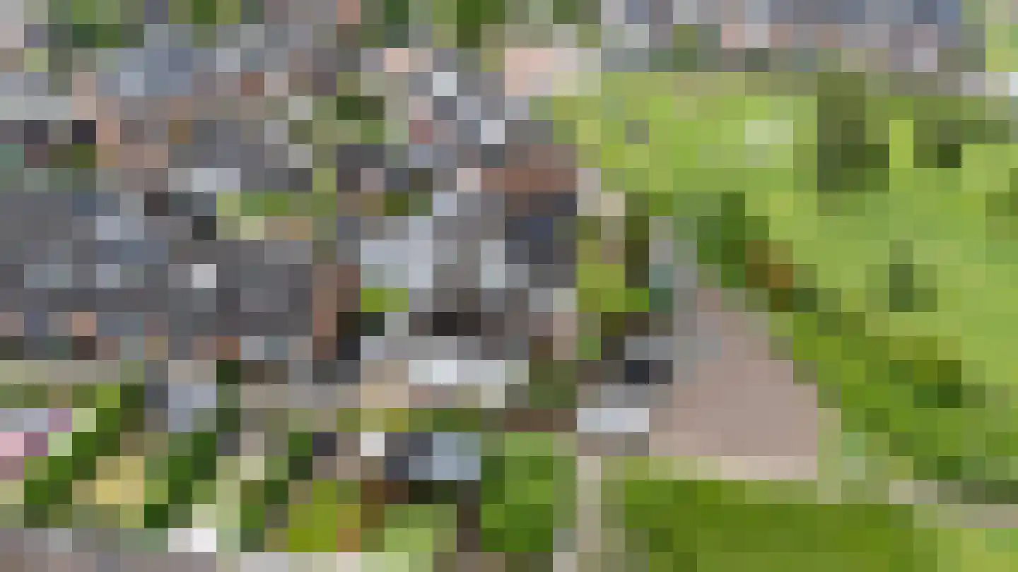Avenhil 6 Heinenoord thumbnail 33