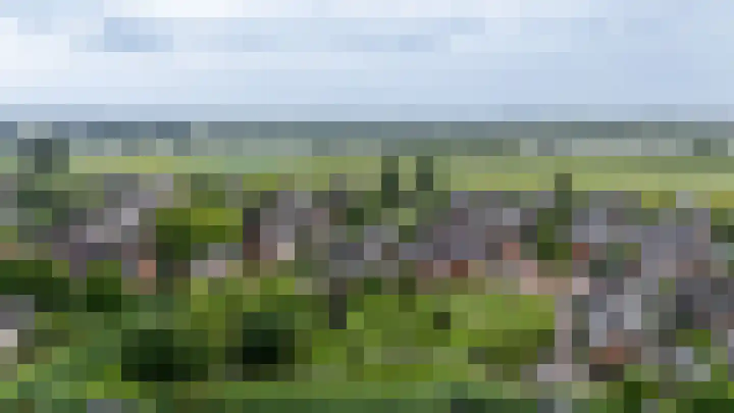 Avenhil 6 Heinenoord thumbnail 35
