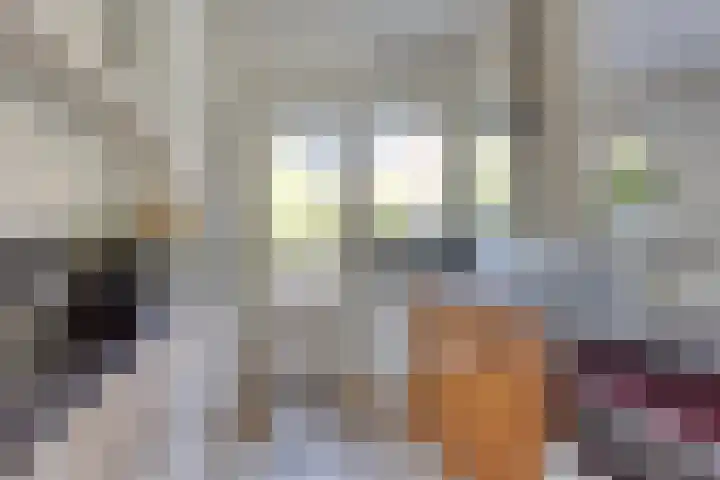 Avenhornstraat 51 Amsterdam thumbnail 15