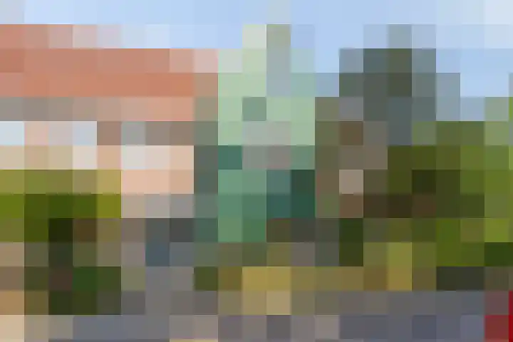 Avenhornstraat 51 Amsterdam thumbnail 4