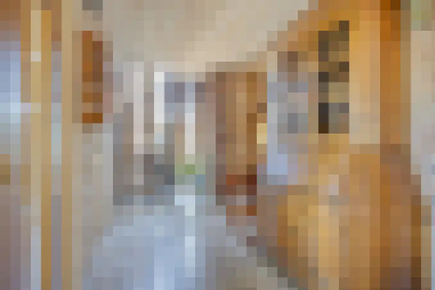 Avennelaan 4 Someren thumbnail 21