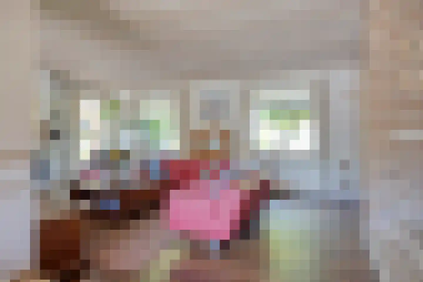 Avennelaan 4 Someren thumbnail 30