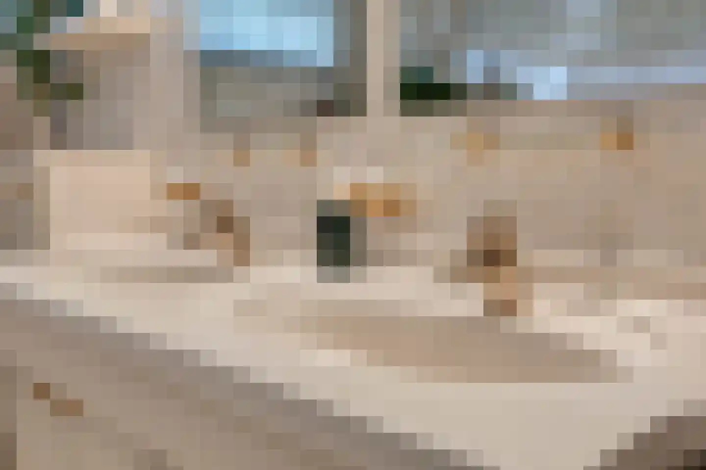 Avennelaan 4 Someren thumbnail 58