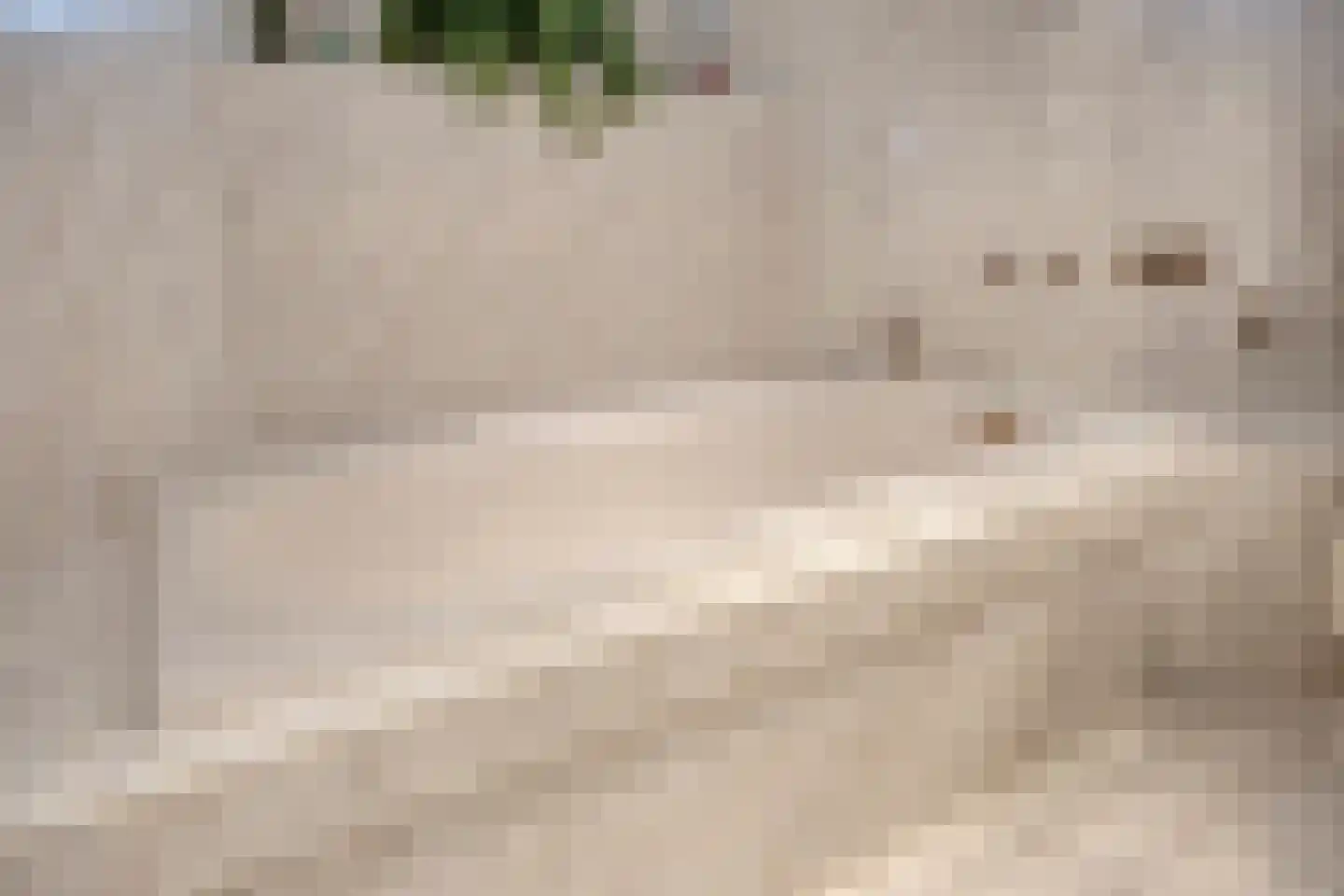 Avennelaan 4 Someren thumbnail 59
