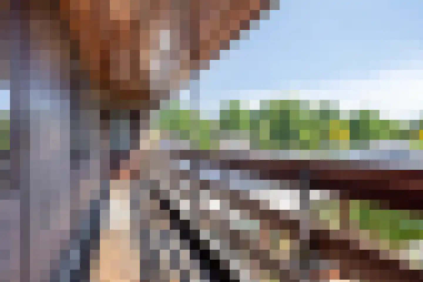 Avennelaan 4 Someren thumbnail 65