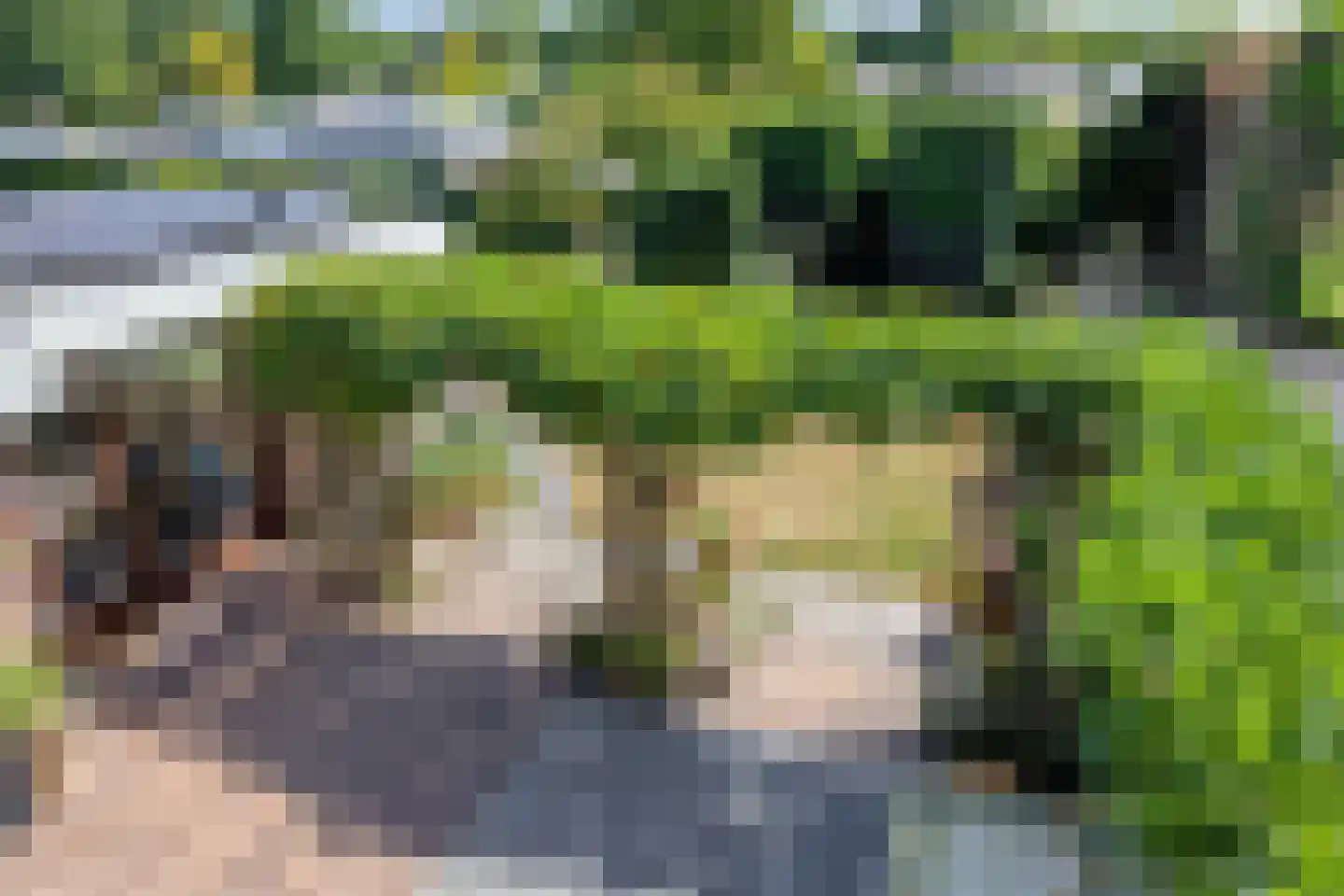 Avennelaan 4 Someren thumbnail 68