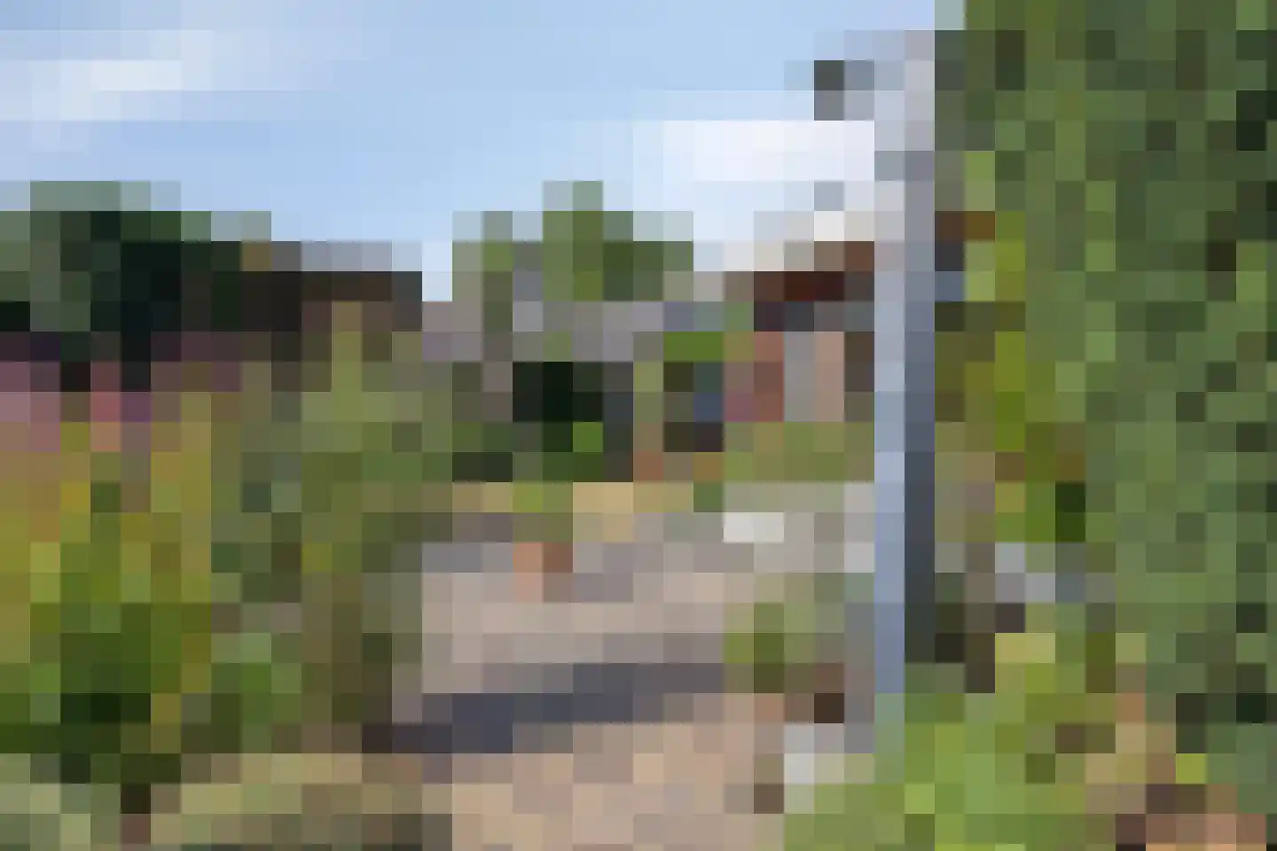 Avennelaan 4 Someren thumbnail 77