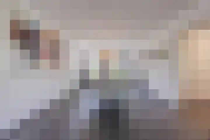 Avensteinstraat 5 Heeswijk-Dinther thumbnail 11