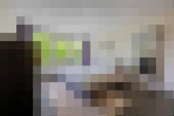 Avensteinstraat 5 Heeswijk-Dinther thumbnail 18