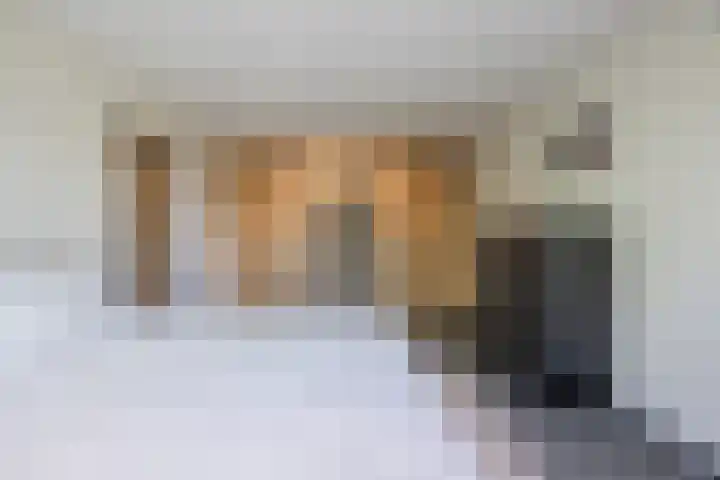 Avensteinstraat 5 Heeswijk-Dinther thumbnail 19