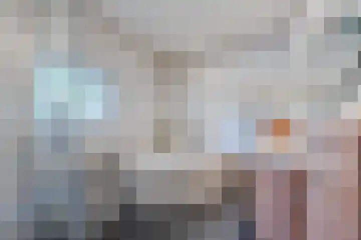 Avensteinstraat 5 Heeswijk-Dinther thumbnail 20